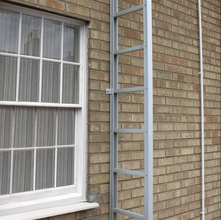 Fold-Out Pole Ladder
